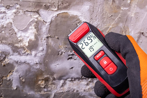 Best Black Mold Removal  in Ocean Pointe, HI