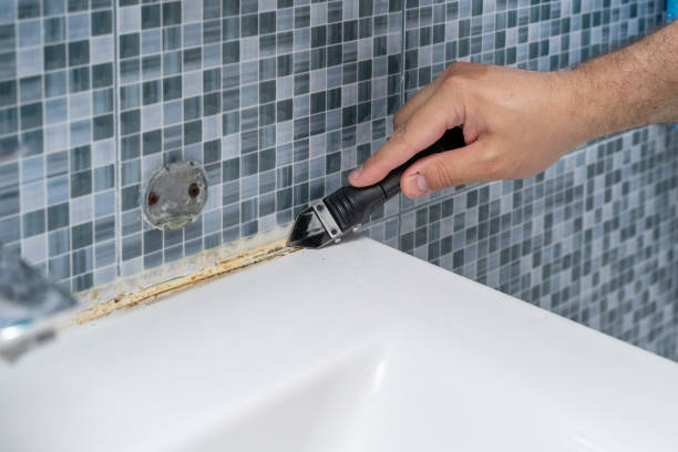 Best Mold Testing  in Ocean Pointe, HI